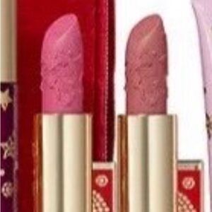Luxurious Pink and Brown Lipstick Set Estée Lauder